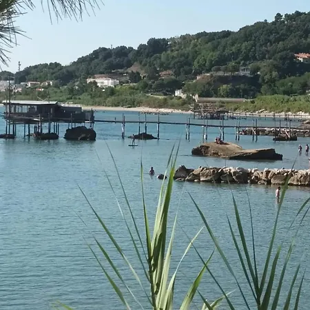 Perla Per 2 *